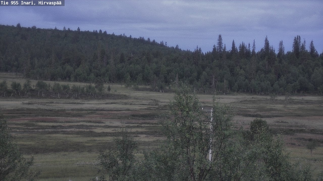 Kelikamerat Kuva Tie 955 Inari, Hirvaspää, Inari, Lappi