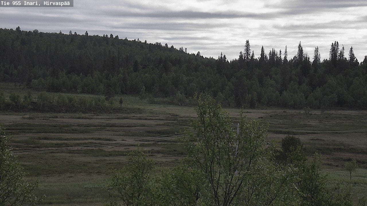 Kelikamerat Kuva Tie 955 Inari, Hirvaspää, Inari, Lappi