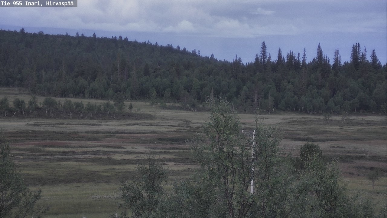 Kelikamerat Kuva Tie 955 Inari, Hirvaspää, Inari, Lappi