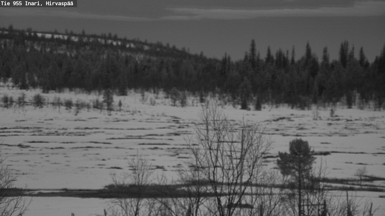 Weather Camera Image Road 955 Inari, Hirvaspää, Inari, Lappi