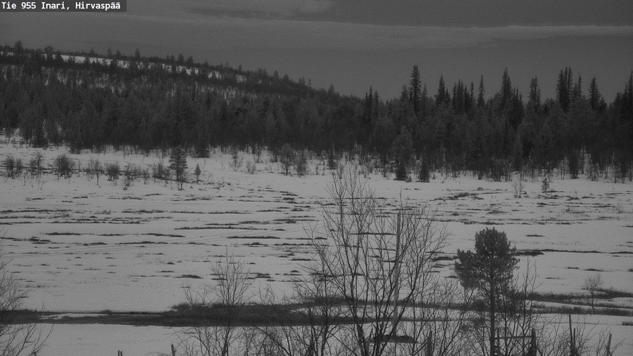 Weather Camera Image Road 955 Inari, Hirvaspää, Inari, Lappi