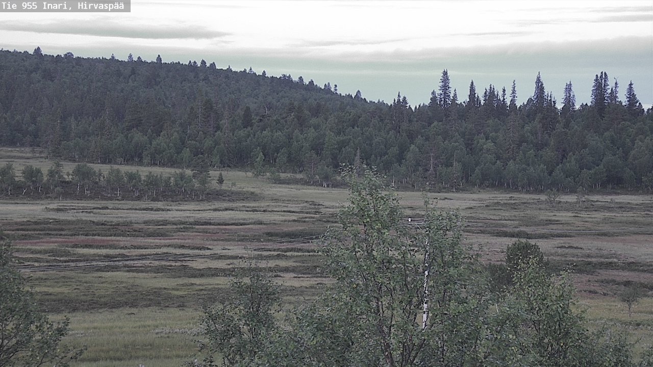 Kelikamerat Kuva Tie 955 Inari, Hirvaspää, Inari, Lappi
