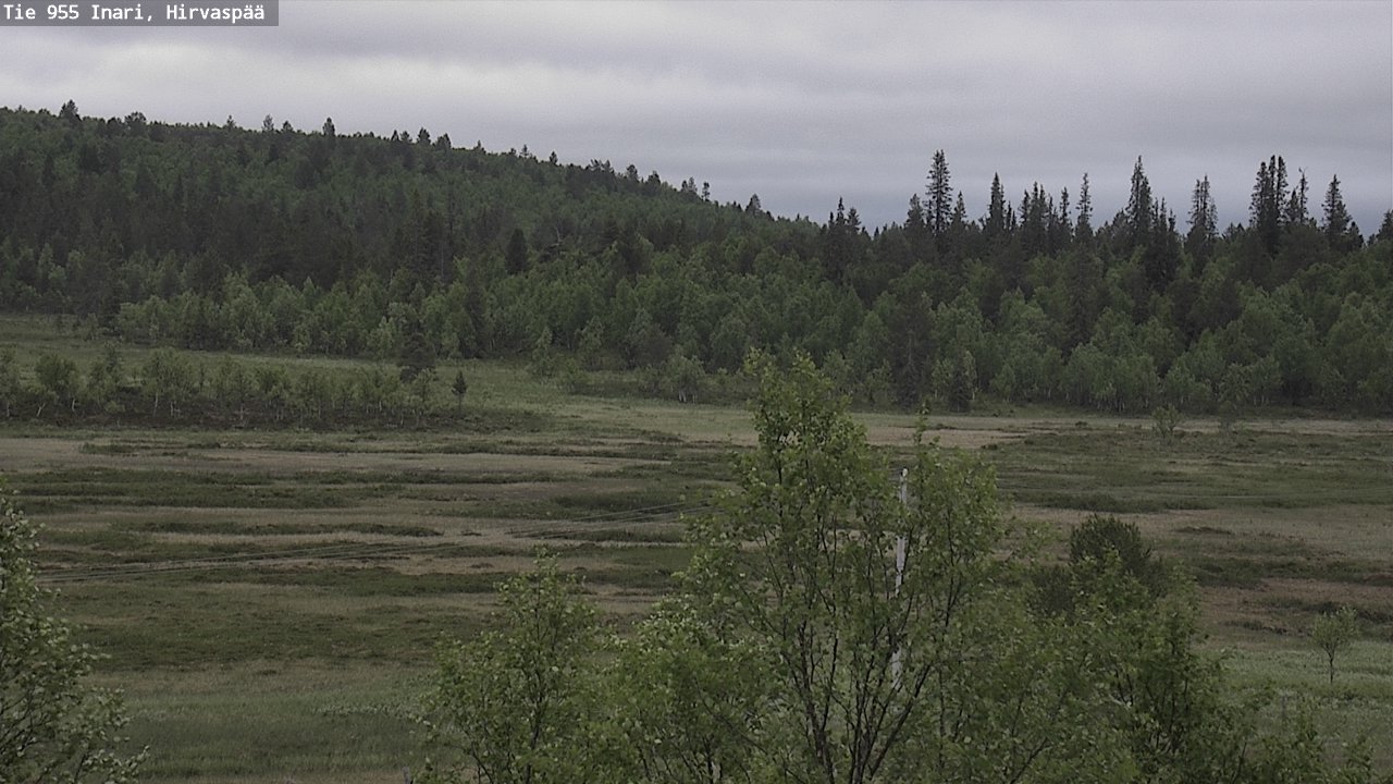 Kelikamerat Kuva Tie 955 Inari, Hirvaspää, Inari, Lappi