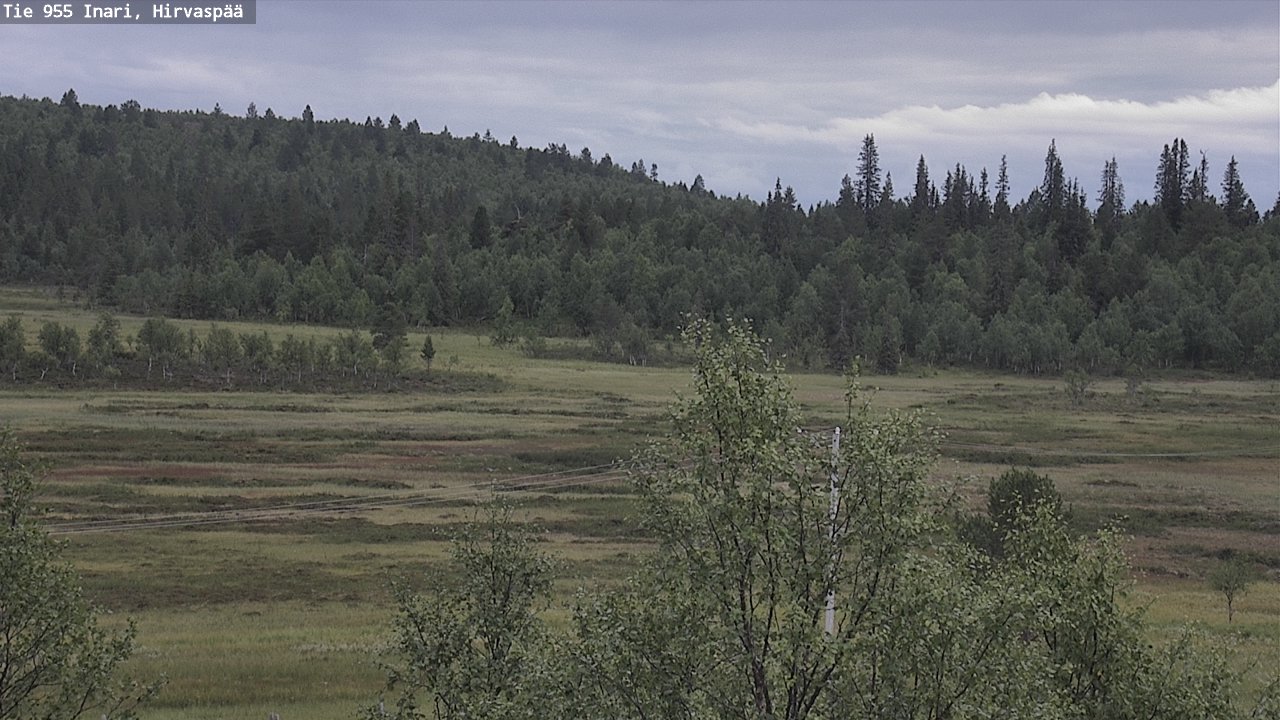 Kelikamerat Kuva Tie 955 Inari, Hirvaspää, Inari, Lappi