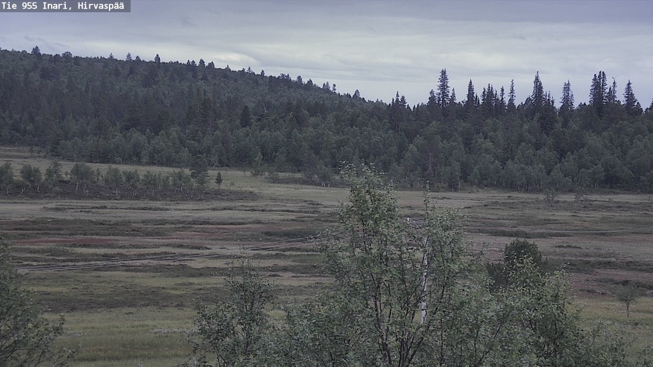 Kelikamerat Kuva Tie 955 Inari, Hirvaspää, Inari, Lappi