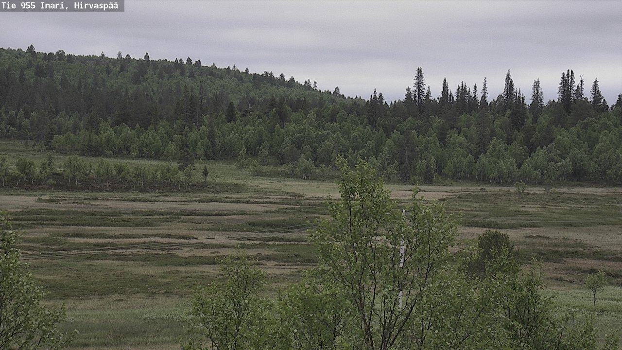 Kelikamerat Kuva Tie 955 Inari, Hirvaspää, Inari, Lappi