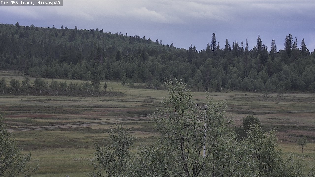 Kelikamerat Kuva Tie 955 Inari, Hirvaspää, Inari, Lappi