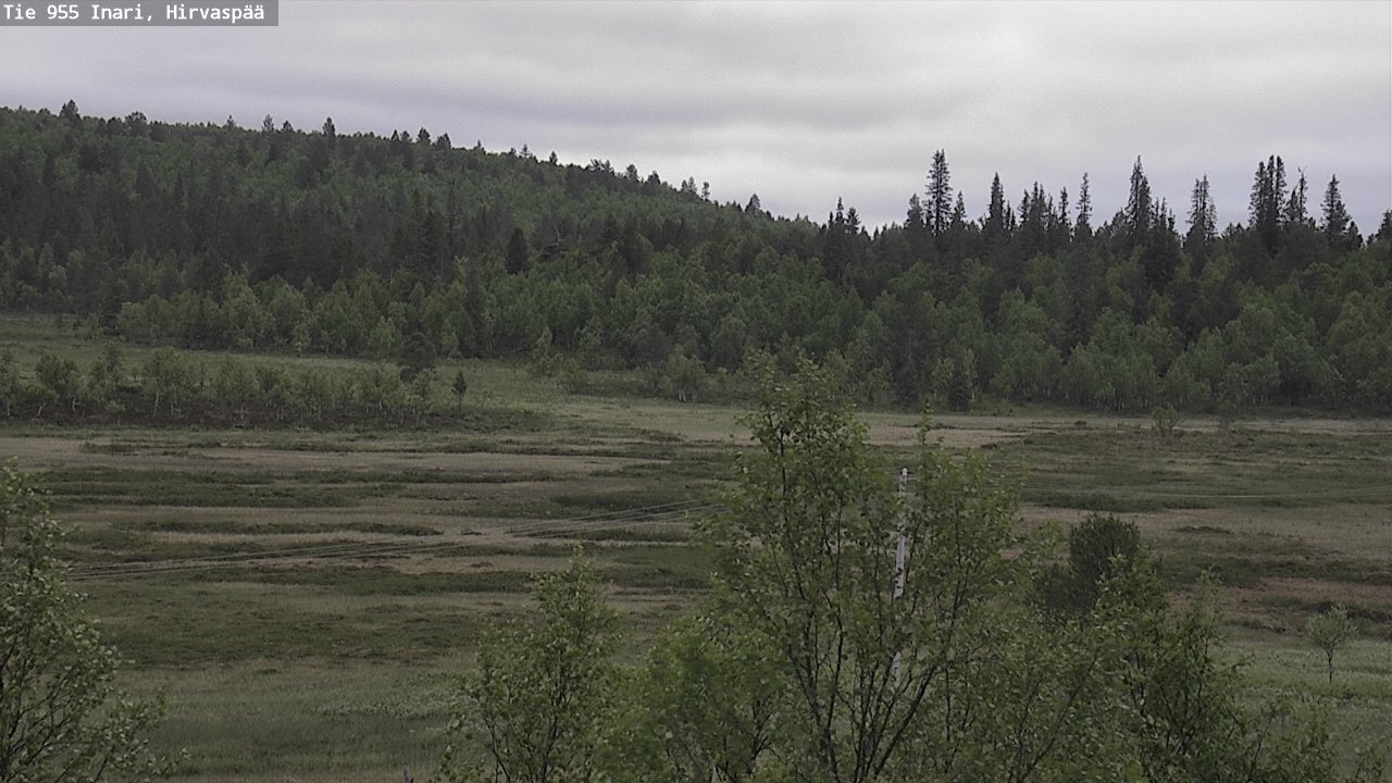 Weather Camera Image Väg 955 Enare, Hirvaspää, Inari, Lappi