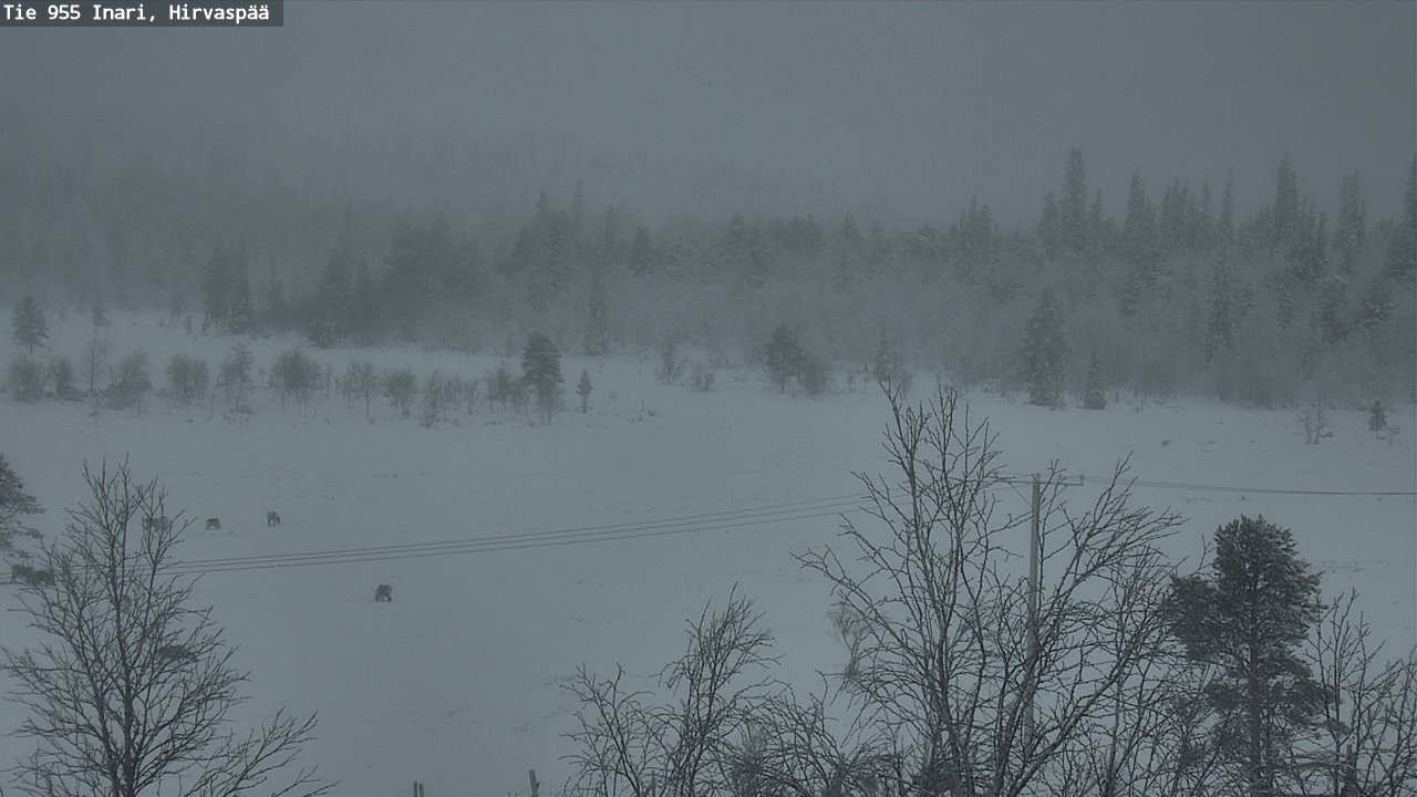 Kelikamerat Kuva Tie 955 Inari, Hirvaspää, Inari, Lappi