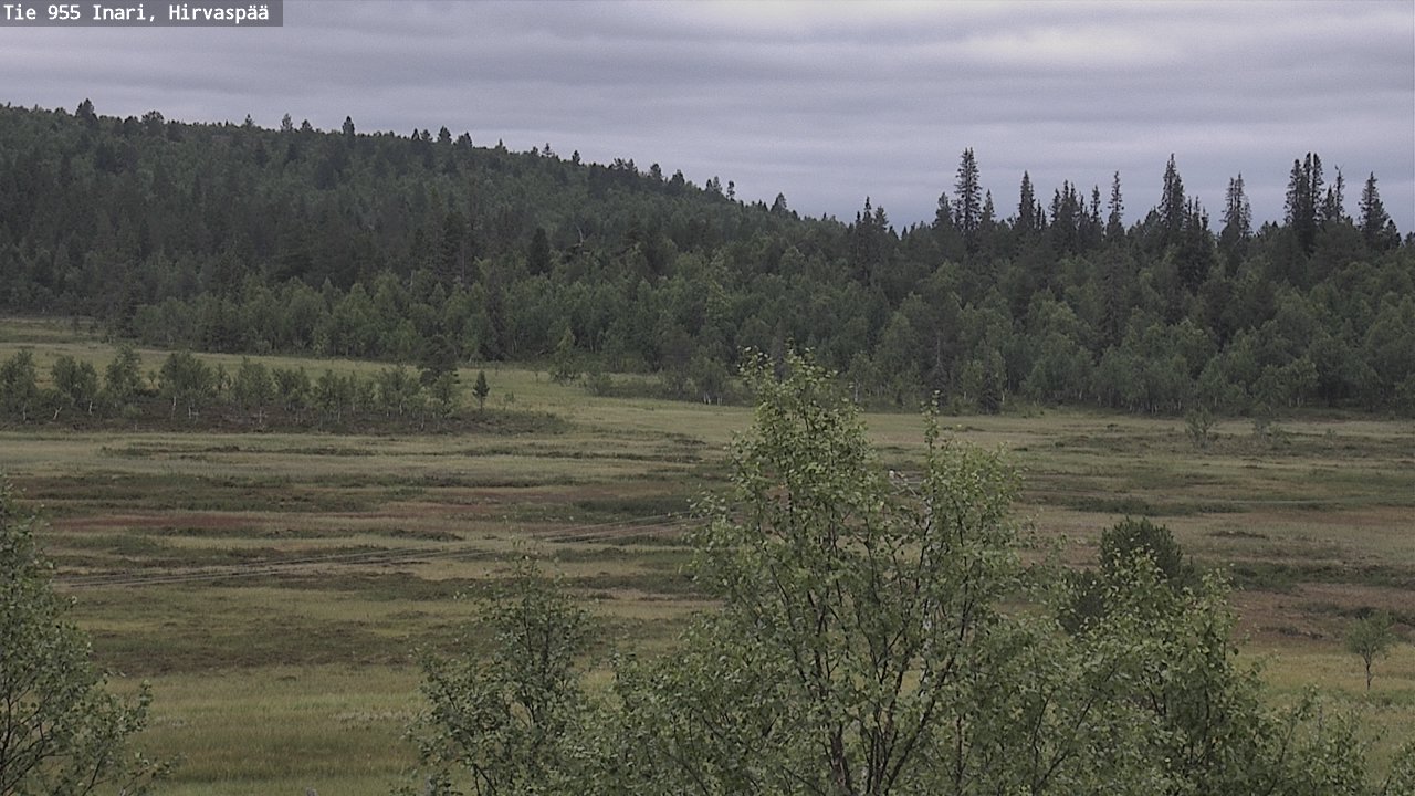 Kelikamerat Kuva Tie 955 Inari, Hirvaspää, Inari, Lappi