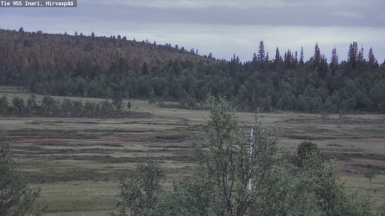 Kelikamerat Kuva Tie 955 Inari, Hirvaspää, Inari, Lappi
