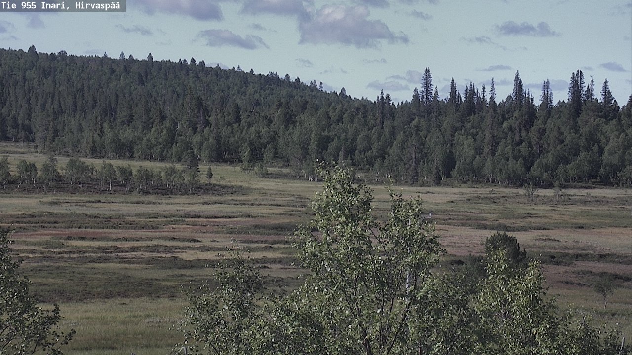 Weather Camera Image Väg 955 Enare, Hirvaspää, Inari, Lappi