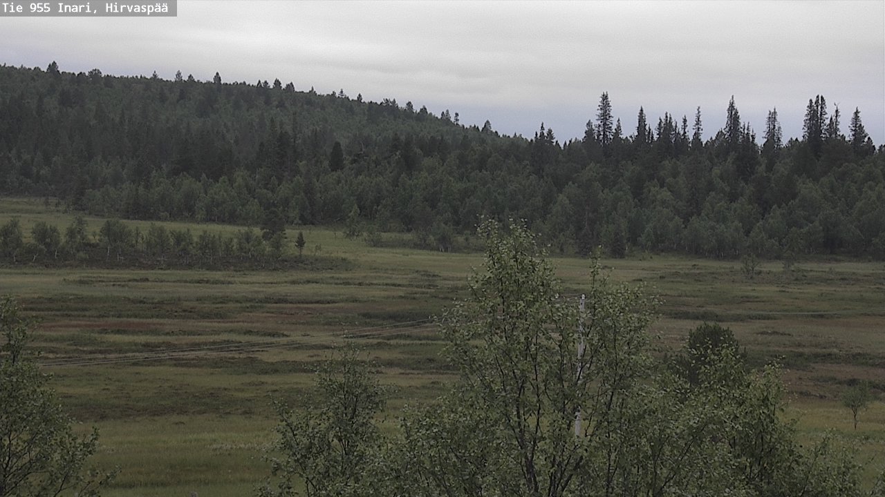 Kelikamerat Kuva Tie 955 Inari, Hirvaspää, Inari, Lappi