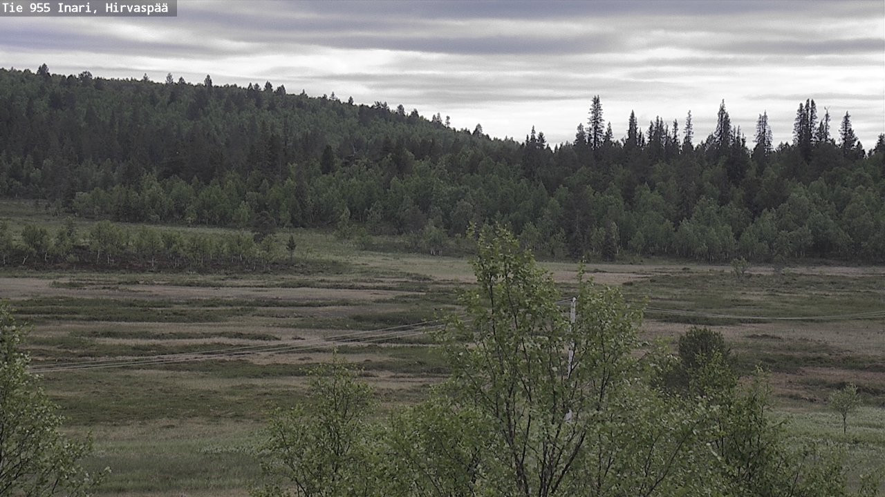 Kelikamerat Kuva Tie 955 Inari, Hirvaspää, Inari, Lappi