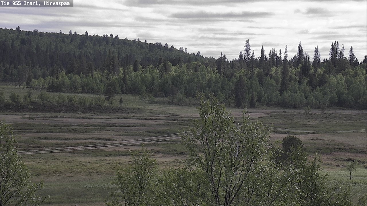 Kelikamerat Kuva Tie 955 Inari, Hirvaspää, Inari, Lappi