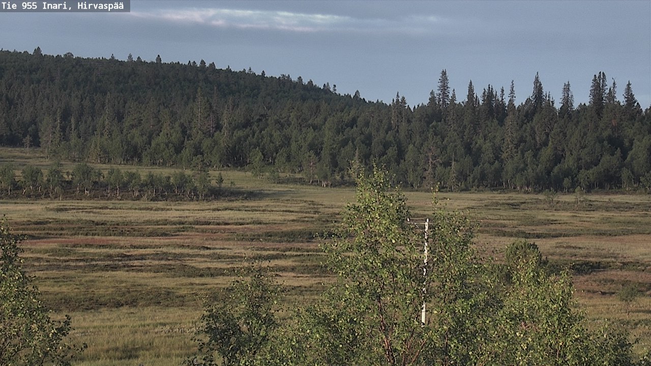 Kelikamerat Kuva Tie 955 Inari, Hirvaspää, Inari, Lappi
