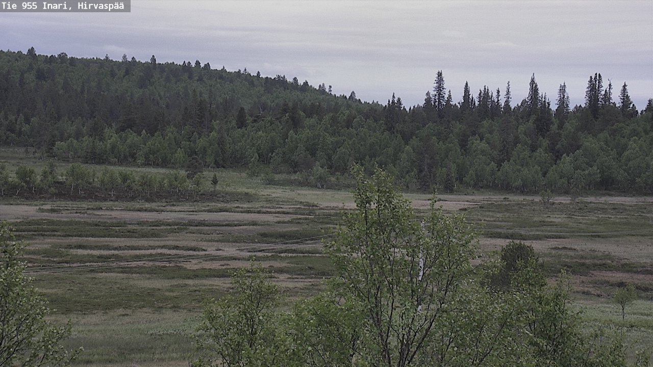 Kelikamerat Kuva Tie 955 Inari, Hirvaspää, Inari, Lappi