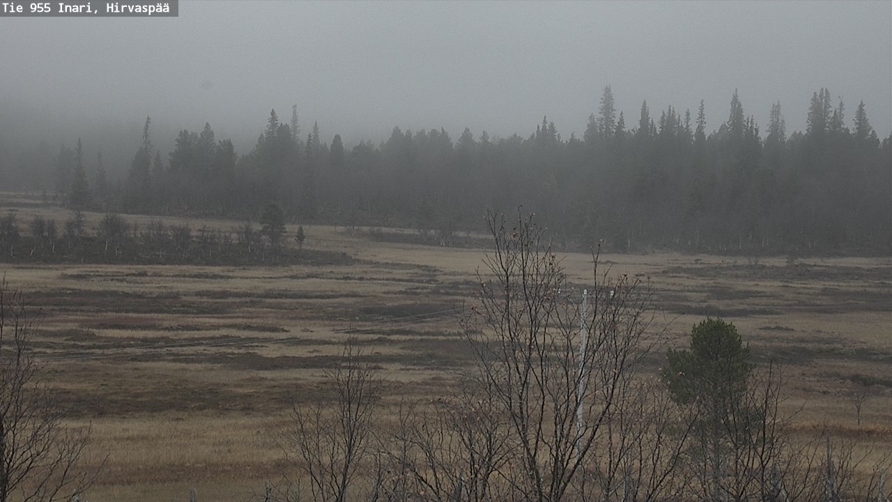 Kelikamerat Kuva Tie 955 Inari, Hirvaspää, Inari, Lappi