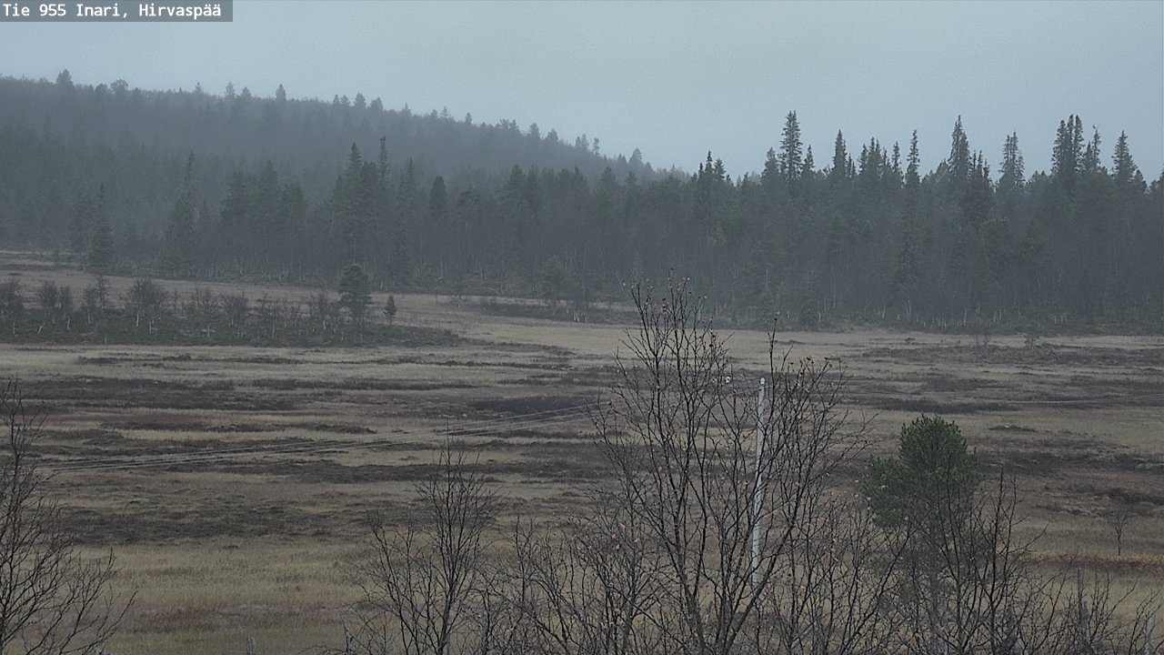 Kelikamerat Kuva Tie 955 Inari, Hirvaspää, Inari, Lappi