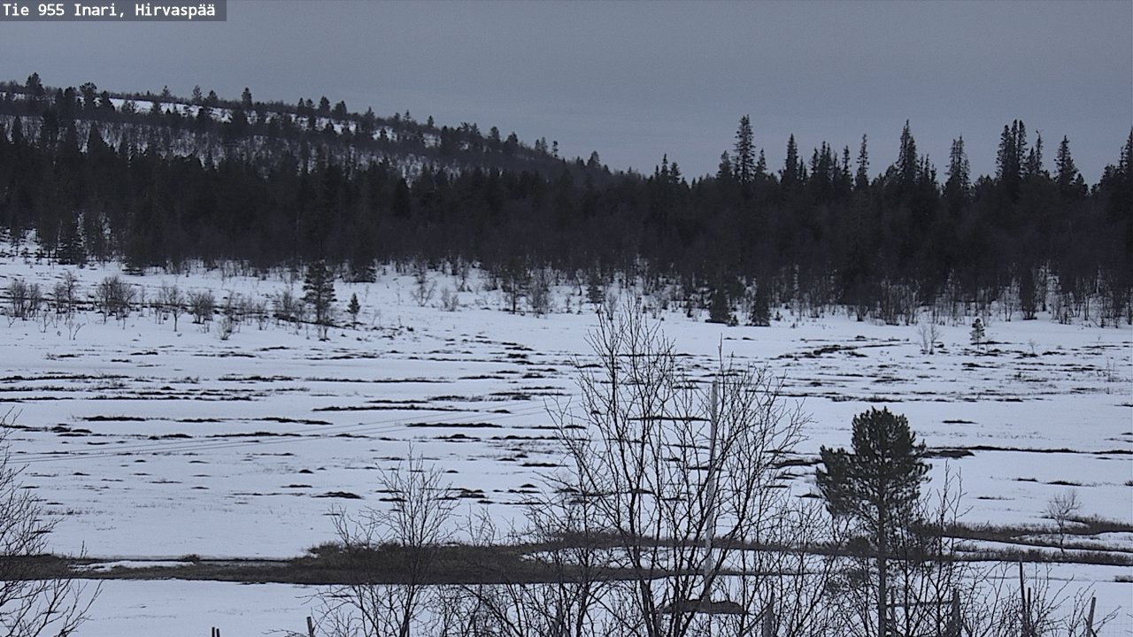 Kelikamerat Kuva Tie 955 Inari, Hirvaspää, Inari, Lappi