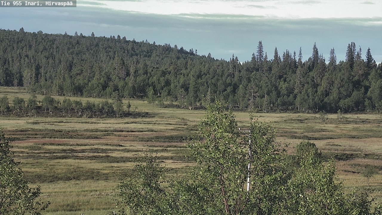 Kelikamerat Kuva Tie 955 Inari, Hirvaspää, Inari, Lappi