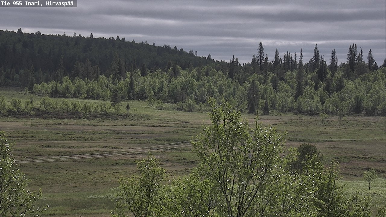 Kelikamerat Kuva Tie 955 Inari, Hirvaspää, Inari, Lappi