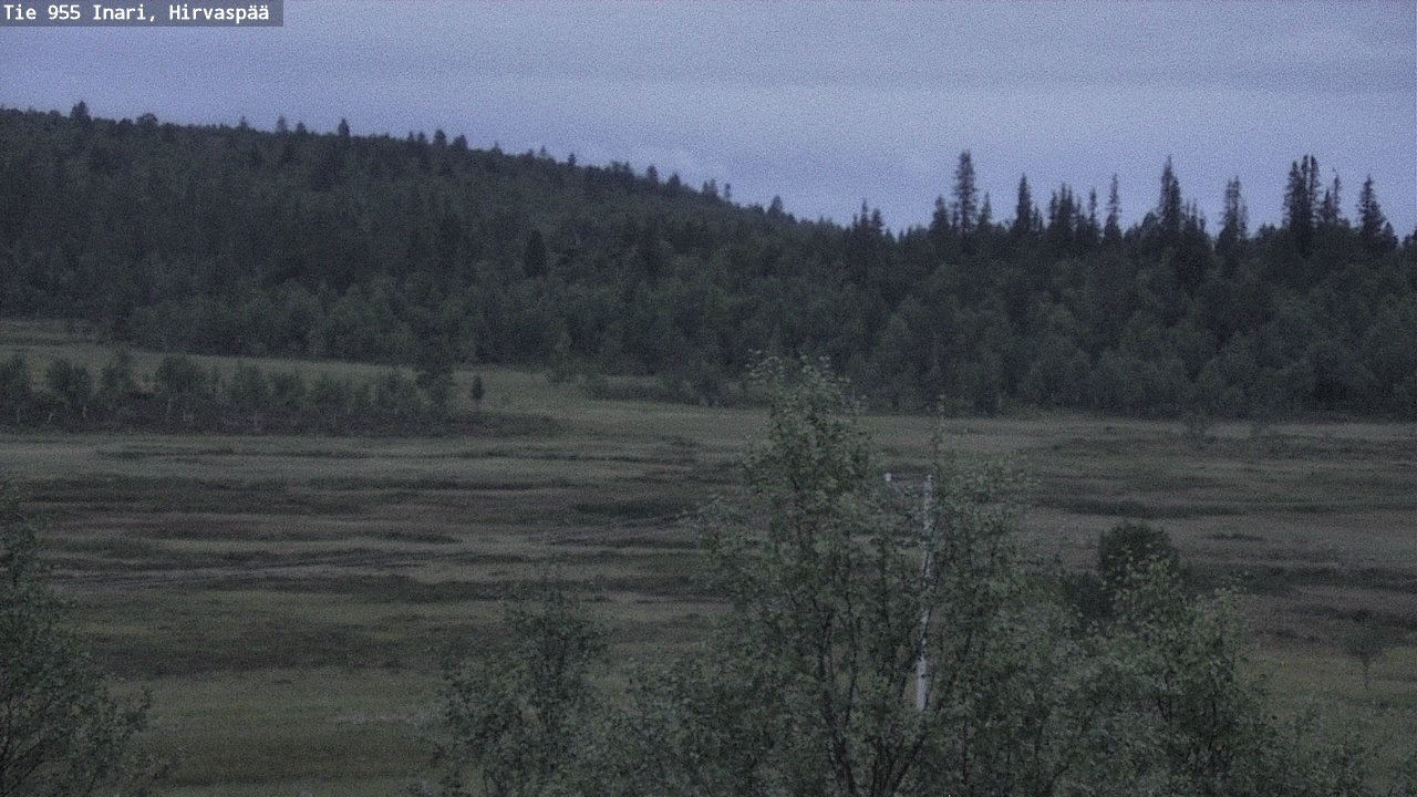 Kelikamerat Kuva Tie 955 Inari, Hirvaspää, Inari, Lappi