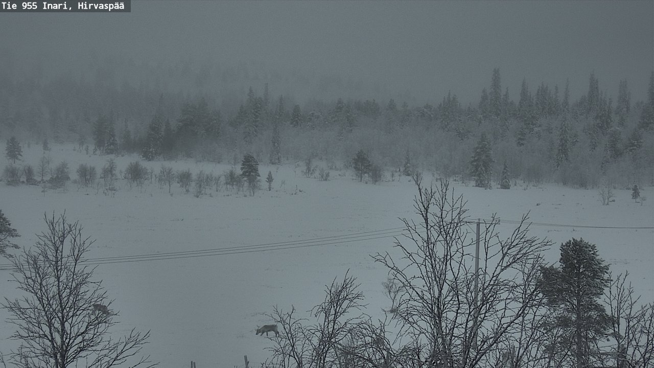 Kelikamerat Kuva Tie 955 Inari, Hirvaspää, Inari, Lappi