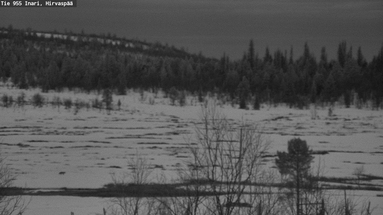 Weather Camera Image Road 955 Inari, Hirvaspää, Inari, Lappi