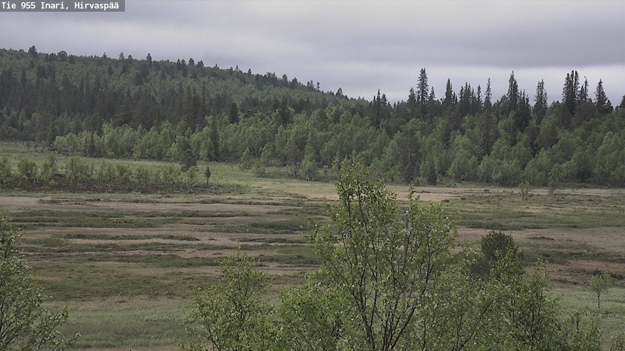 Kelikamerat Kuva Tie 955 Inari, Hirvaspää, Inari, Lappi
