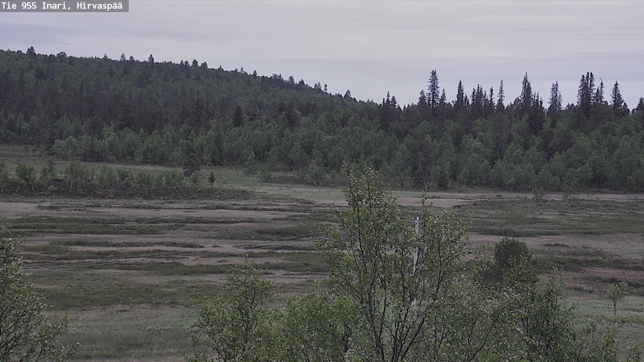 Kelikamerat Kuva Tie 955 Inari, Hirvaspää, Inari, Lappi
