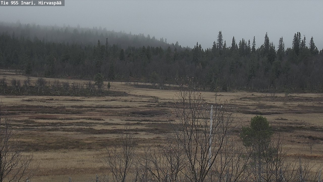 Kelikamerat Kuva Tie 955 Inari, Hirvaspää, Inari, Lappi
