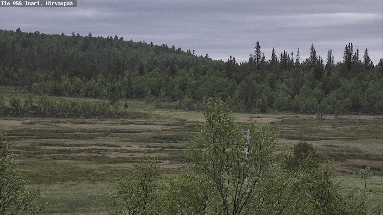 Kelikamerat Kuva Tie 955 Inari, Hirvaspää, Inari, Lappi
