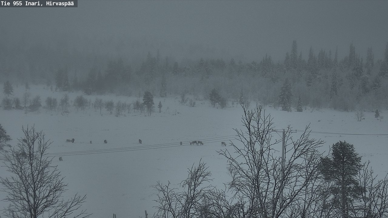 Kelikamerat Kuva Tie 955 Inari, Hirvaspää, Inari, Lappi