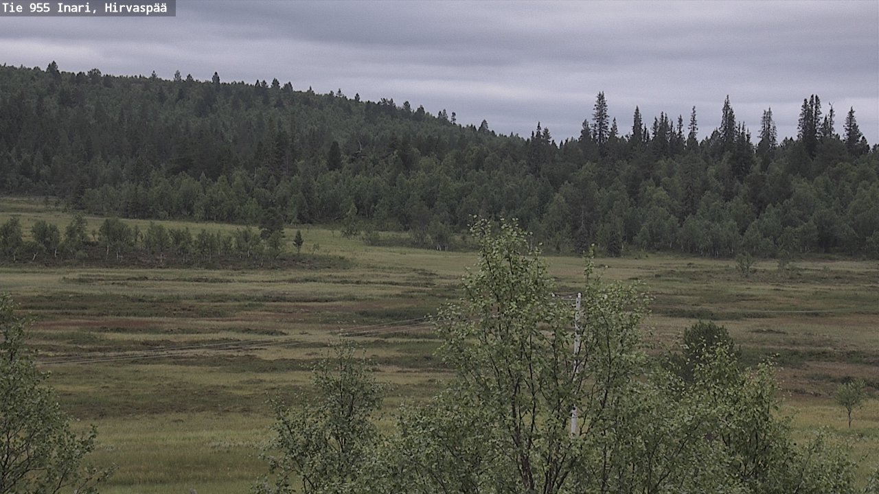 Kelikamerat Kuva Tie 955 Inari, Hirvaspää, Inari, Lappi