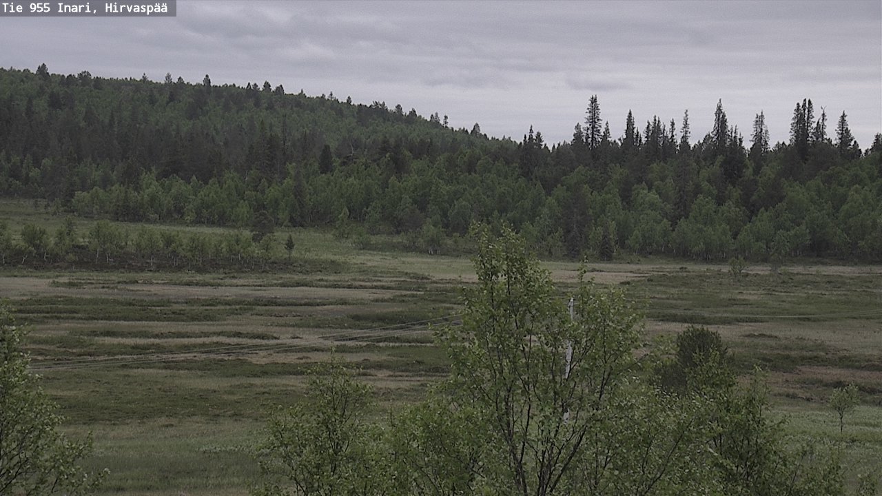 Kelikamerat Kuva Tie 955 Inari, Hirvaspää, Inari, Lappi