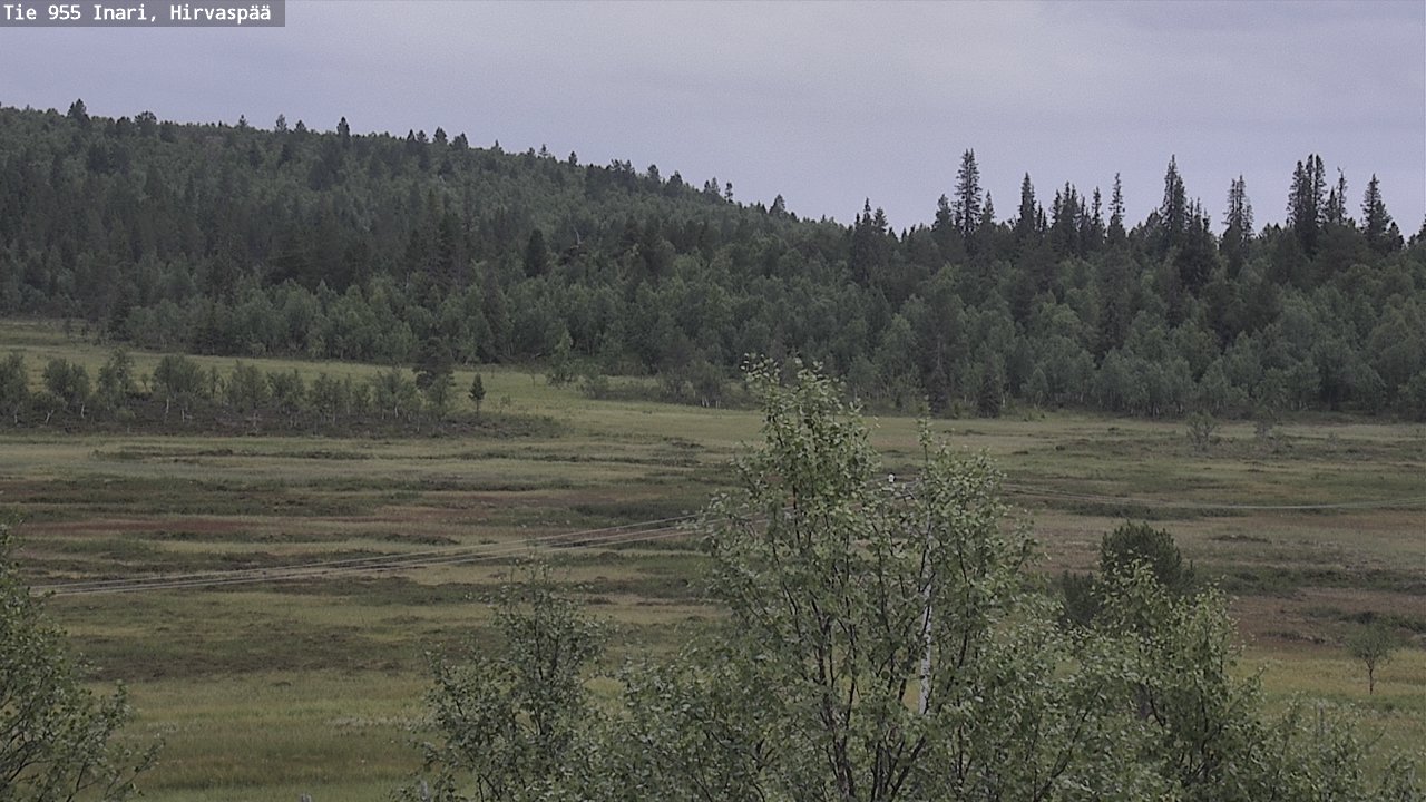 Kelikamerat Kuva Tie 955 Inari, Hirvaspää, Inari, Lappi