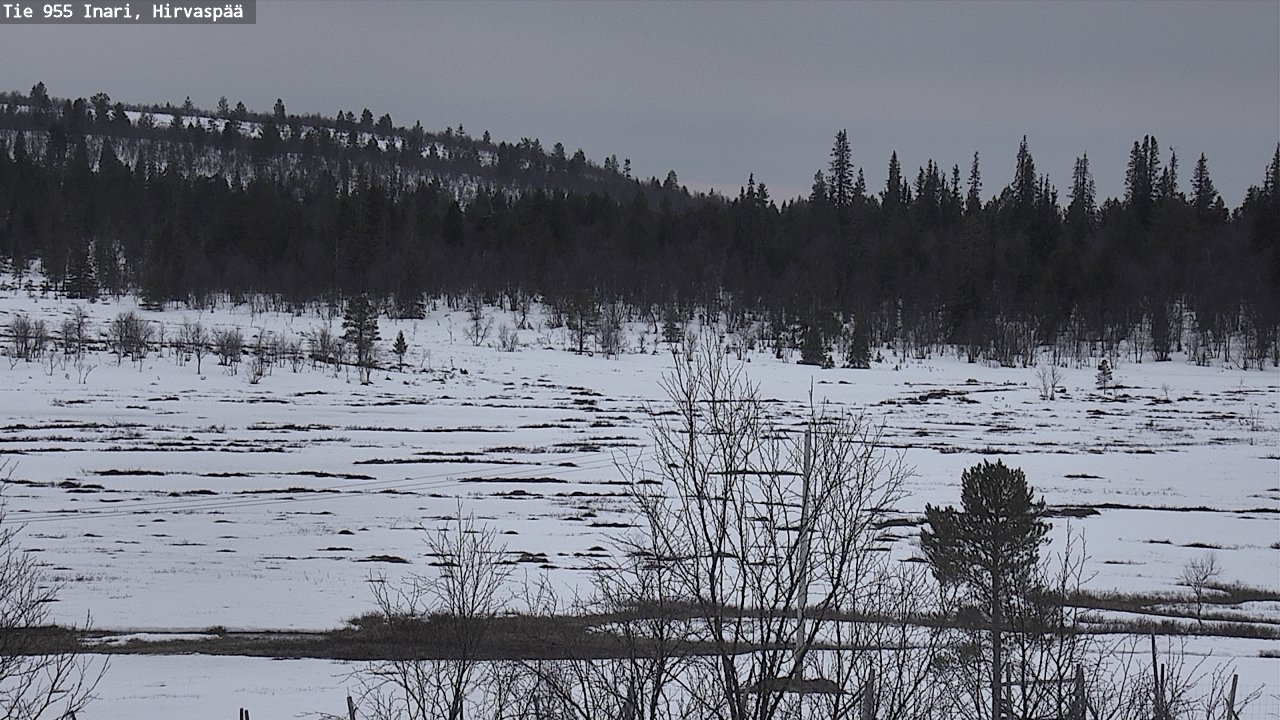 Kelikamerat Kuva Tie 955 Inari, Hirvaspää, Inari, Lappi