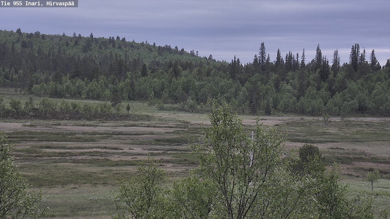 Kelikamerat Kuva Tie 955 Inari, Hirvaspää, Inari, Lappi