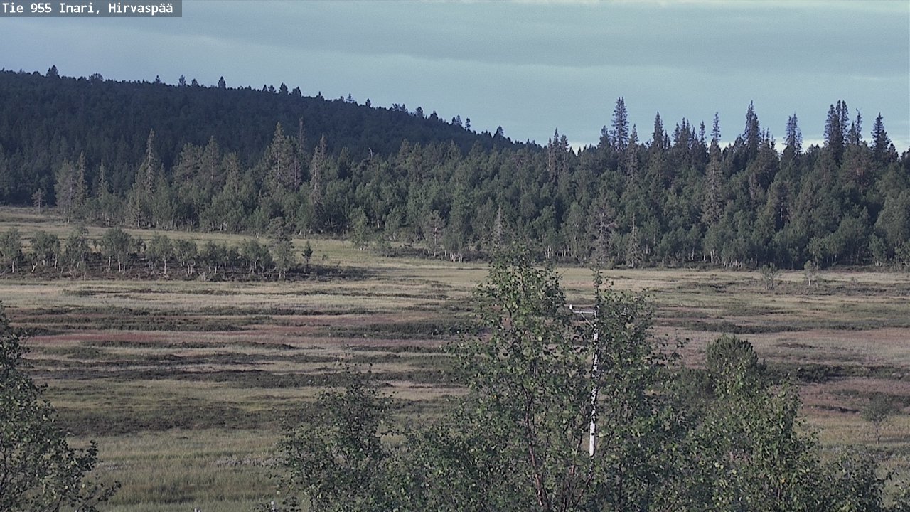 Kelikamerat Kuva Tie 955 Inari, Hirvaspää, Inari, Lappi
