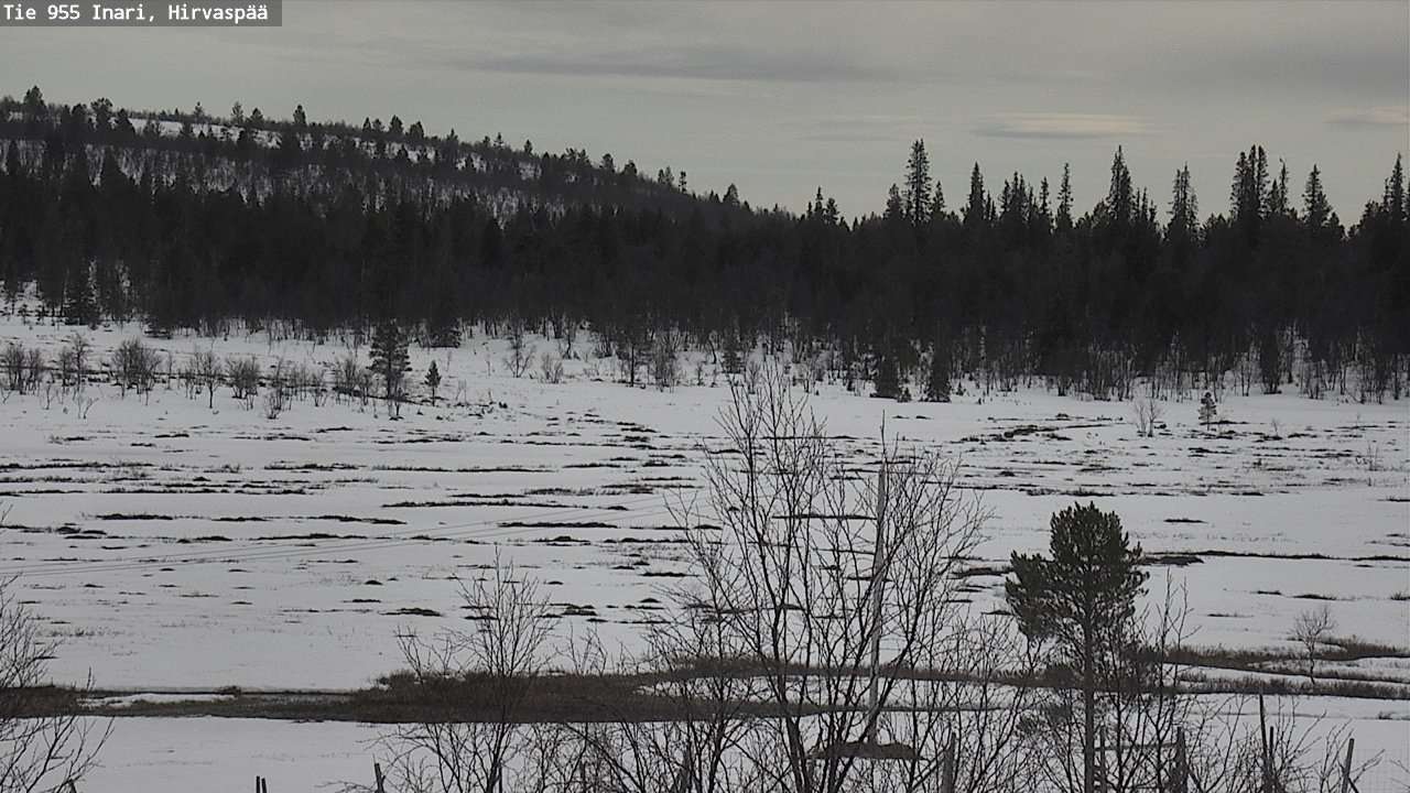 Weather Camera Image Road 955 Inari, Hirvaspää, Inari, Lappi