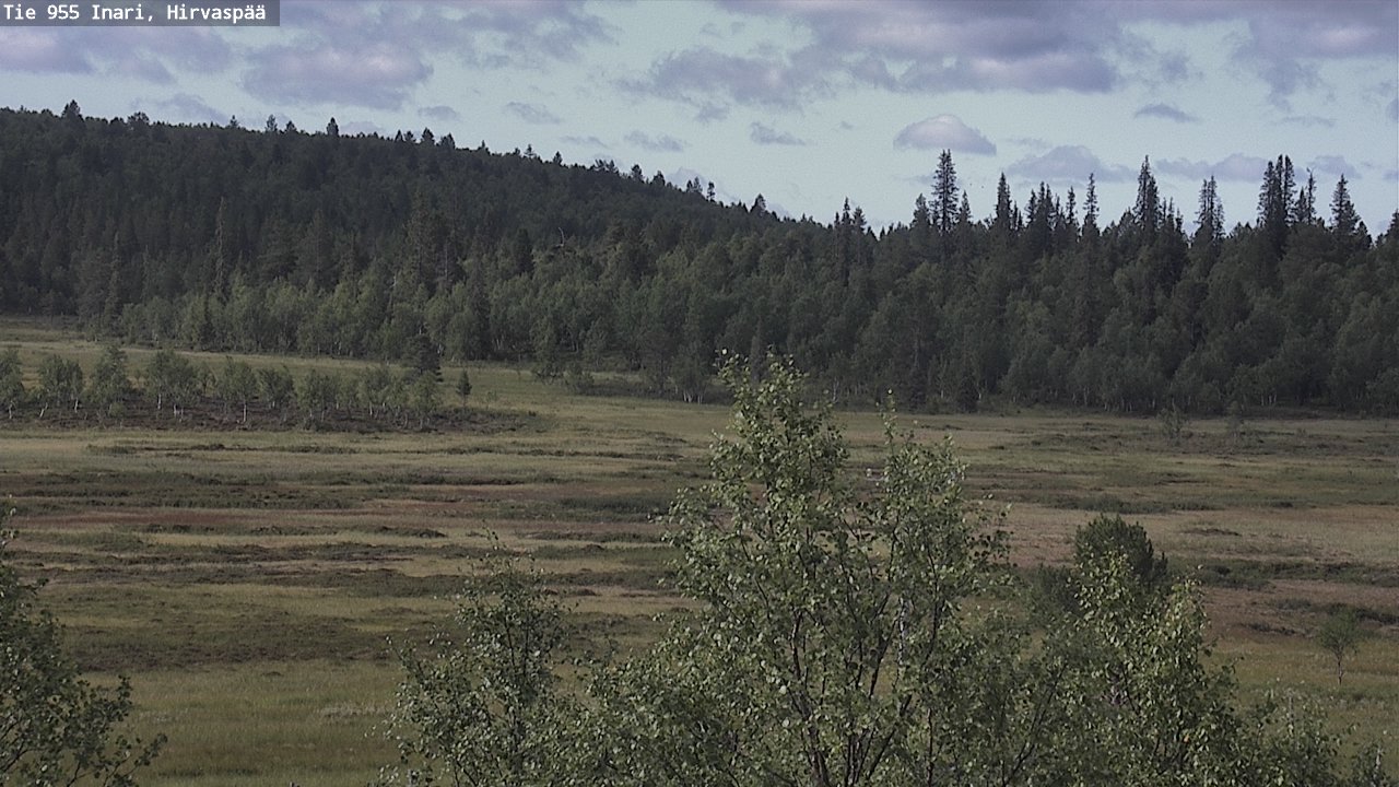 Weather Camera Image Väg 955 Enare, Hirvaspää, Inari, Lappi