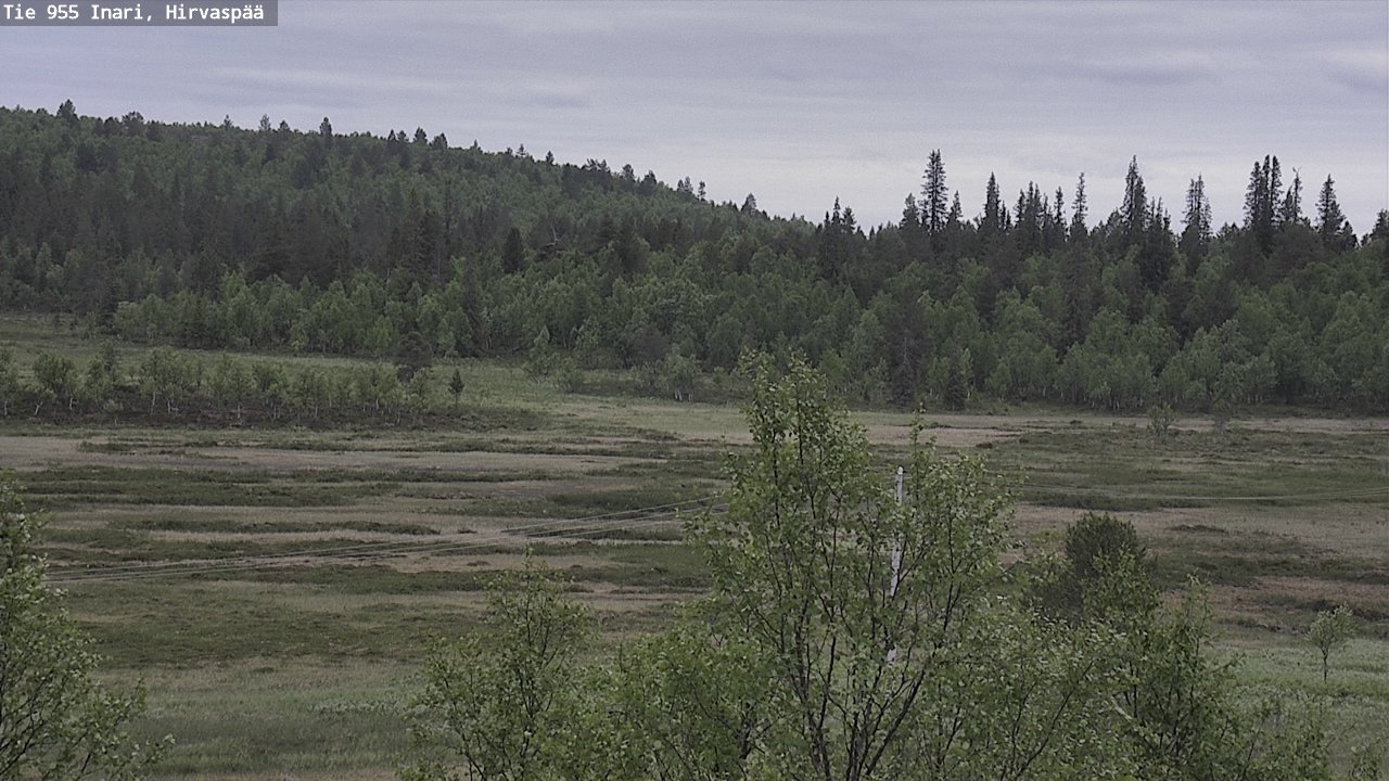Kelikamerat Kuva Tie 955 Inari, Hirvaspää, Inari, Lappi