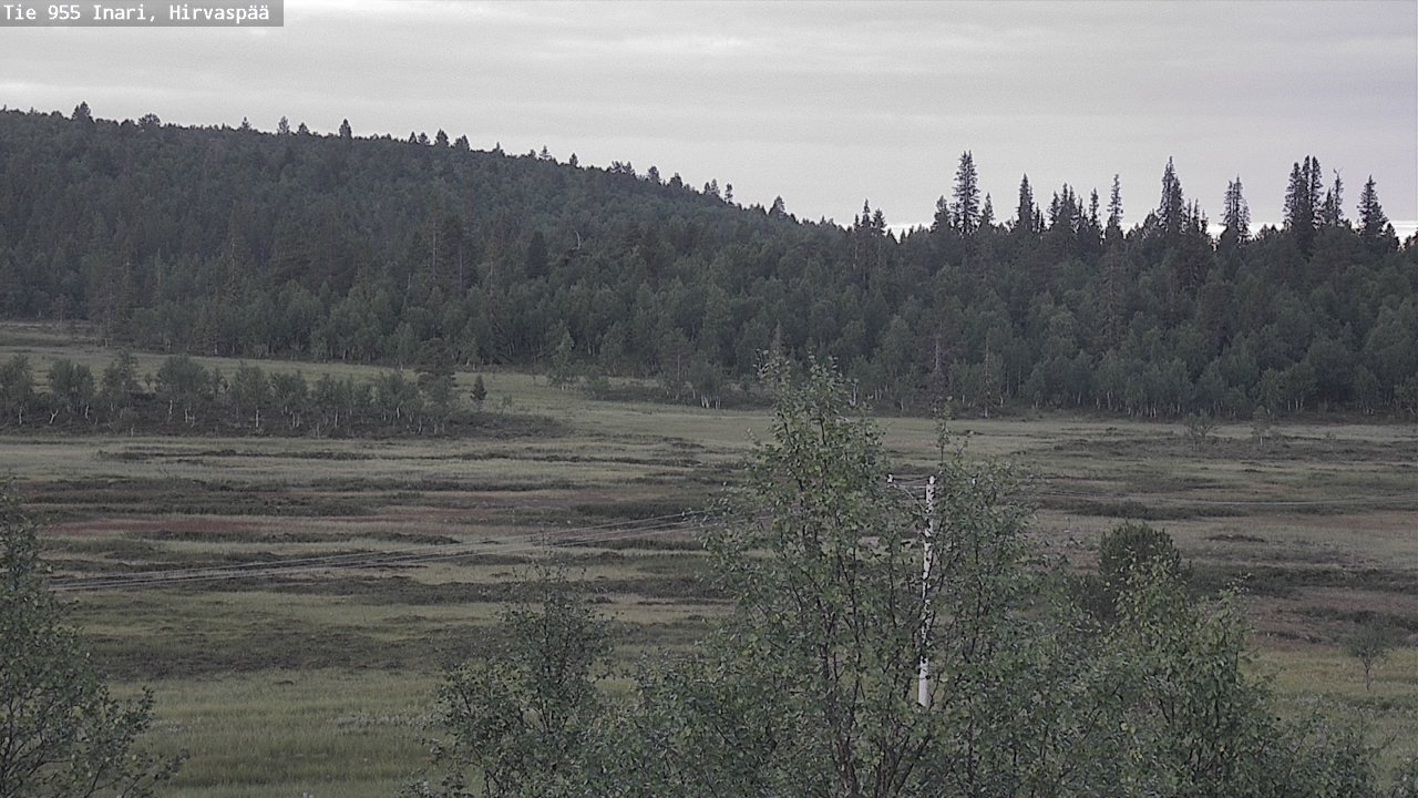 Kelikamerat Kuva Tie 955 Inari, Hirvaspää, Inari, Lappi