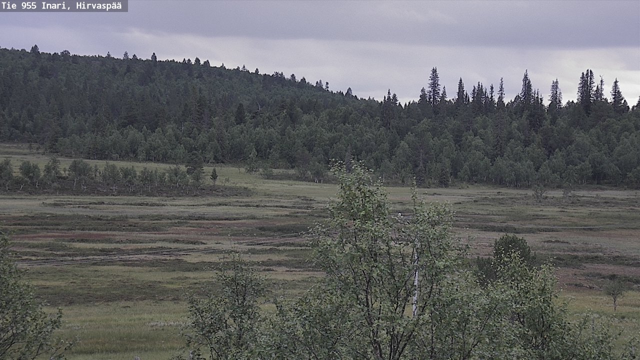 Kelikamerat Kuva Tie 955 Inari, Hirvaspää, Inari, Lappi
