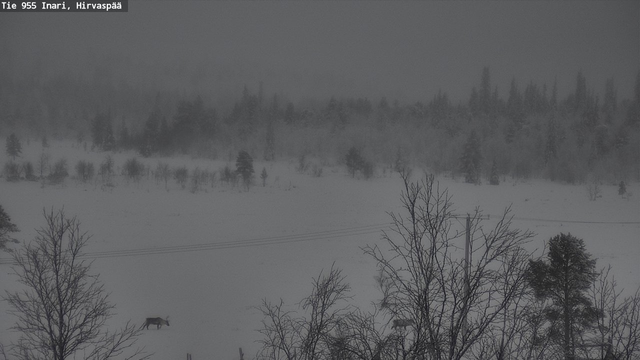 Kelikamerat Kuva Tie 955 Inari, Hirvaspää, Inari, Lappi