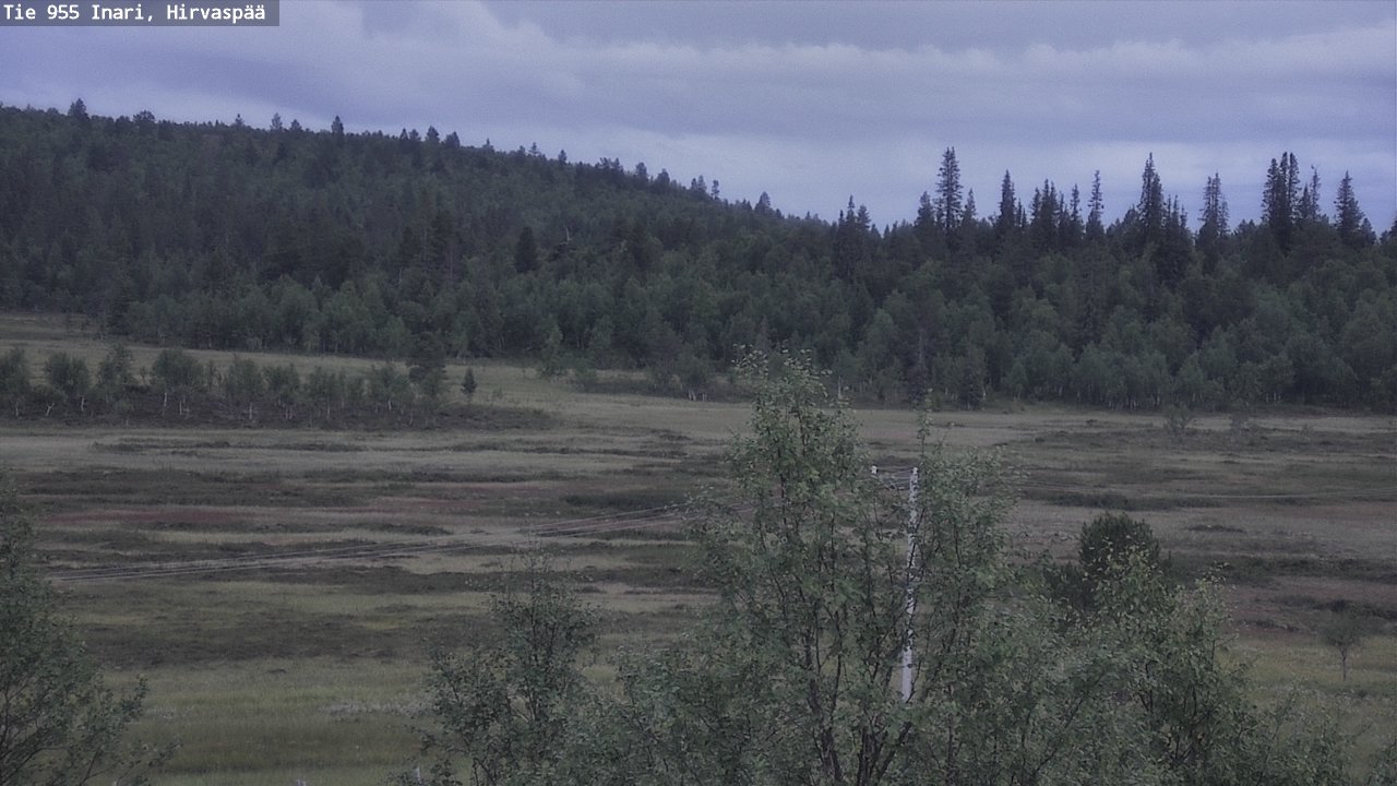 Kelikamerat Kuva Tie 955 Inari, Hirvaspää, Inari, Lappi