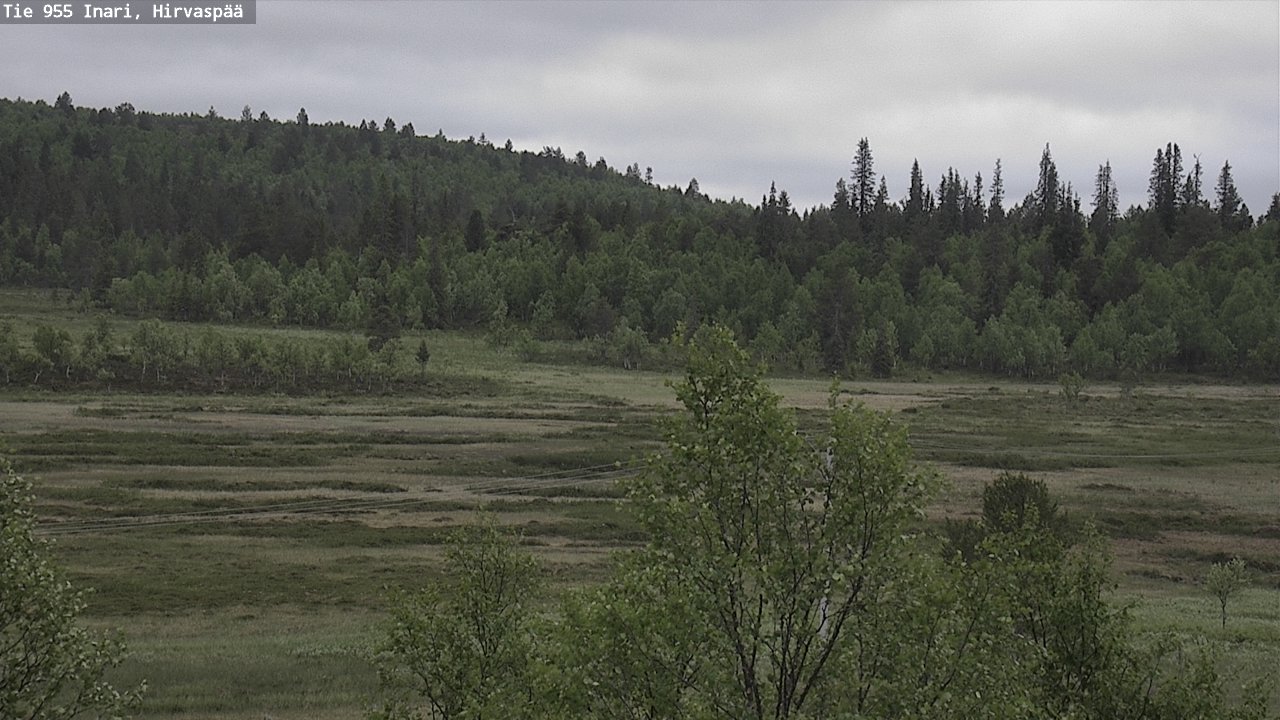 Weather Camera Image Väg 955 Enare, Hirvaspää, Inari, Lappi