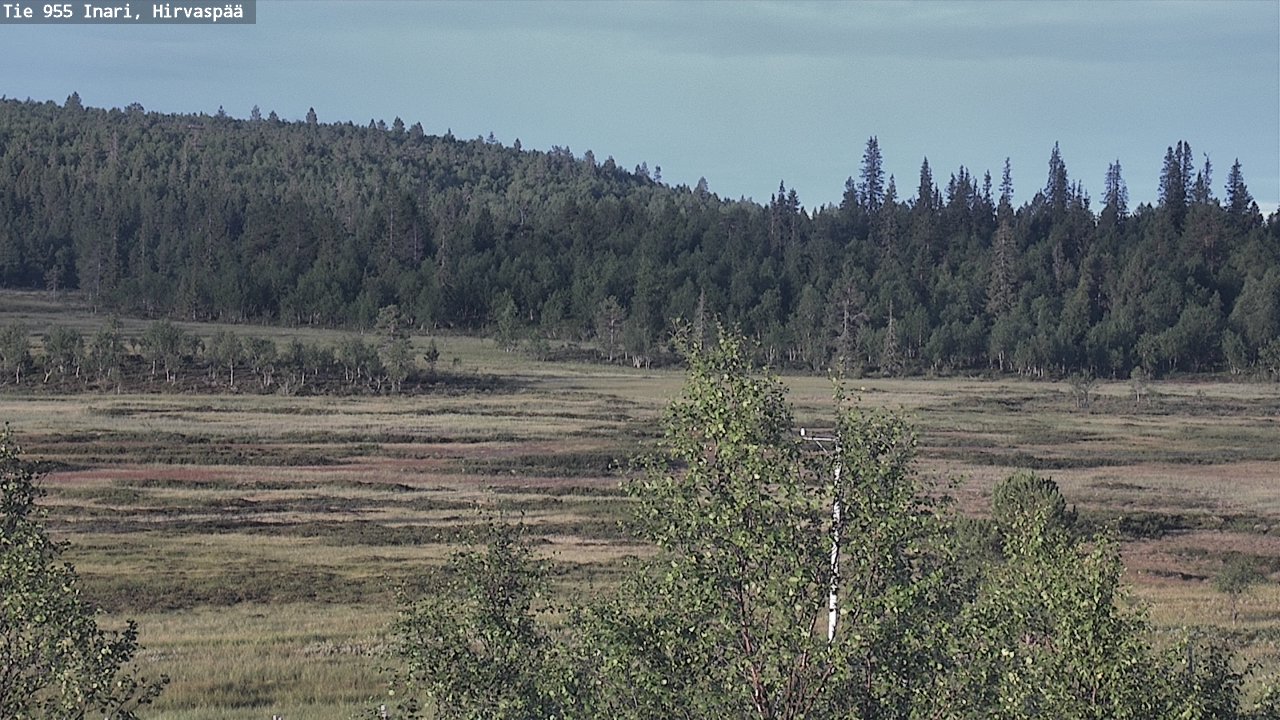 Kelikamerat Kuva Tie 955 Inari, Hirvaspää, Inari, Lappi