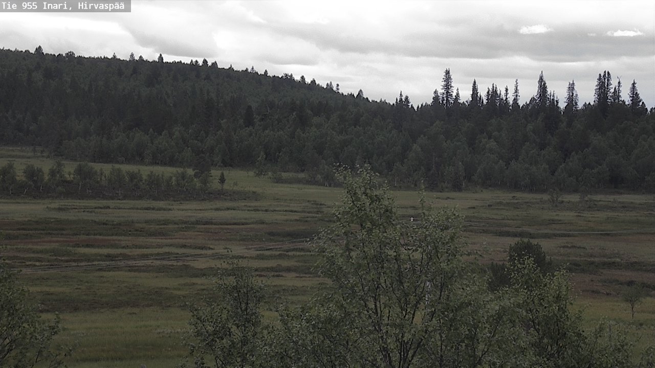 Kelikamerat Kuva Tie 955 Inari, Hirvaspää, Inari, Lappi